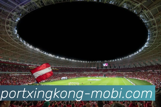 星空体育发展历程